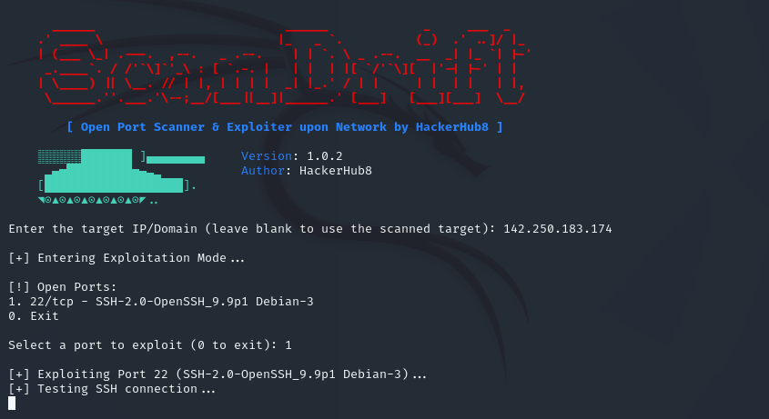 Port Scanning